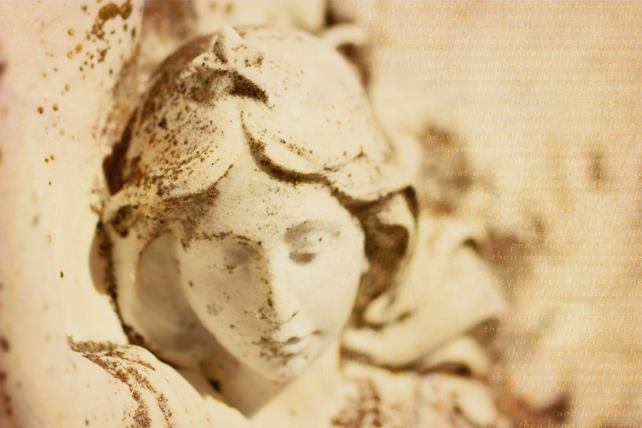 Peaceful Wing - After processing with fine art digital texture overlays in Photoshop