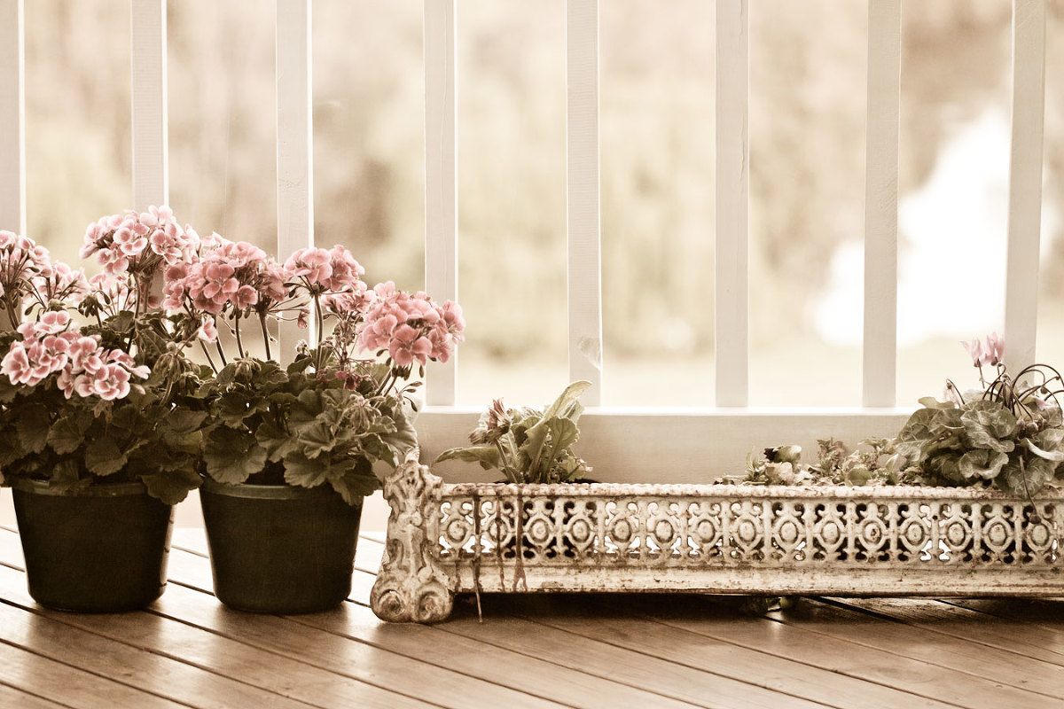Balcony Pots