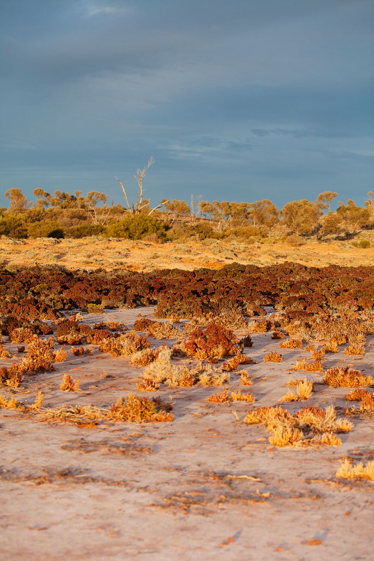 Lake Edge Under Dark Sky
