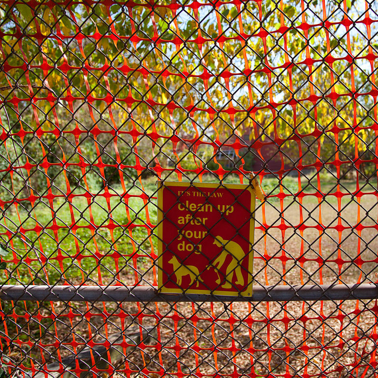 Clean Up After Your Dog