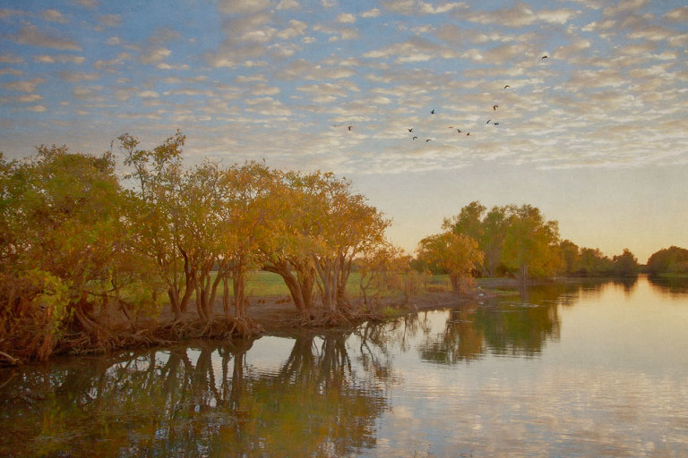 Birds at Sunrise on Yellow Water Billabong