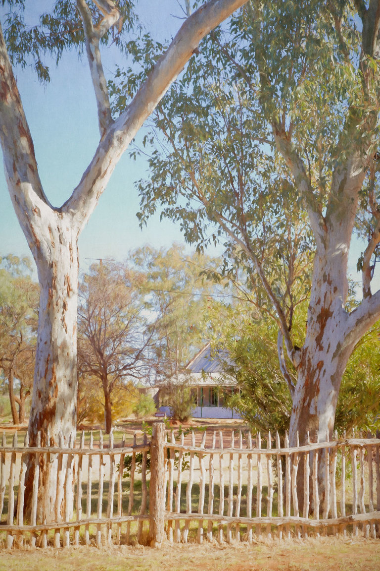 Trees & Building Hermannsburg