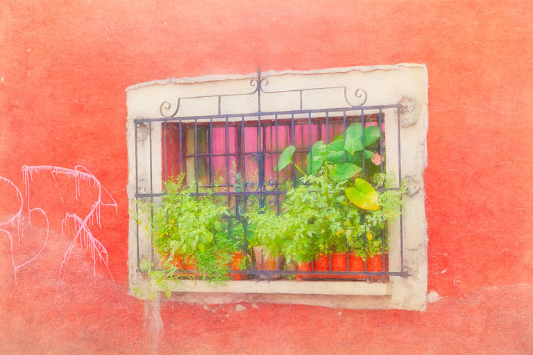 Coyoacan window garden with graffiti