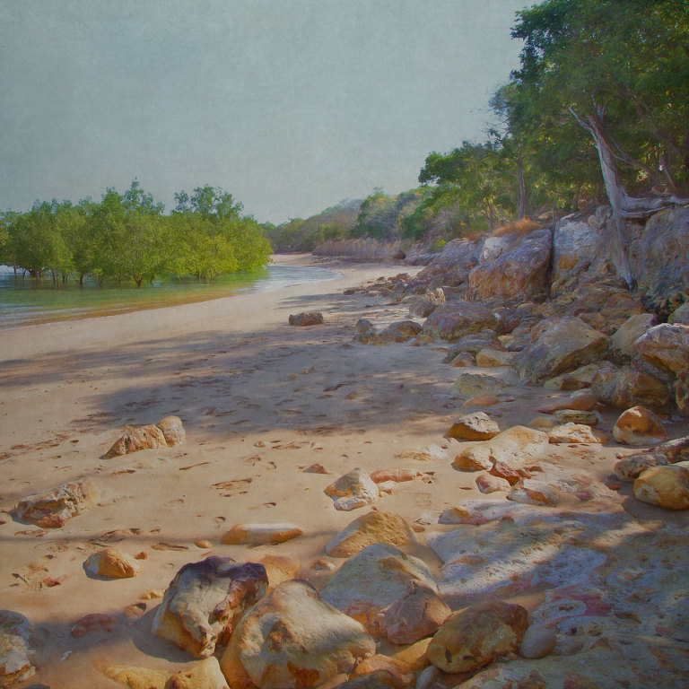 Mangroves at East Point Reserve