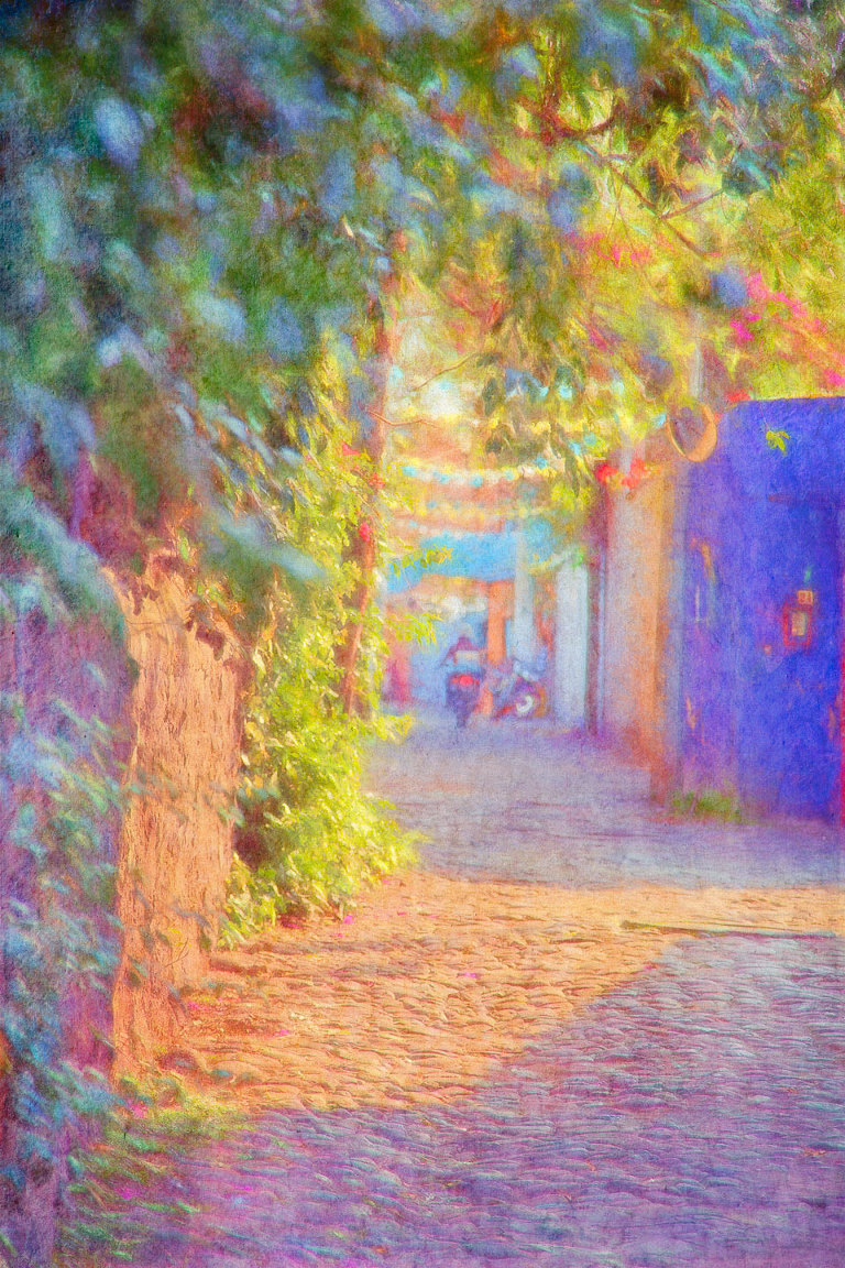 Motorcyclist & Bunting