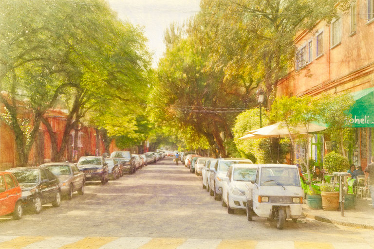 Coyoacan street