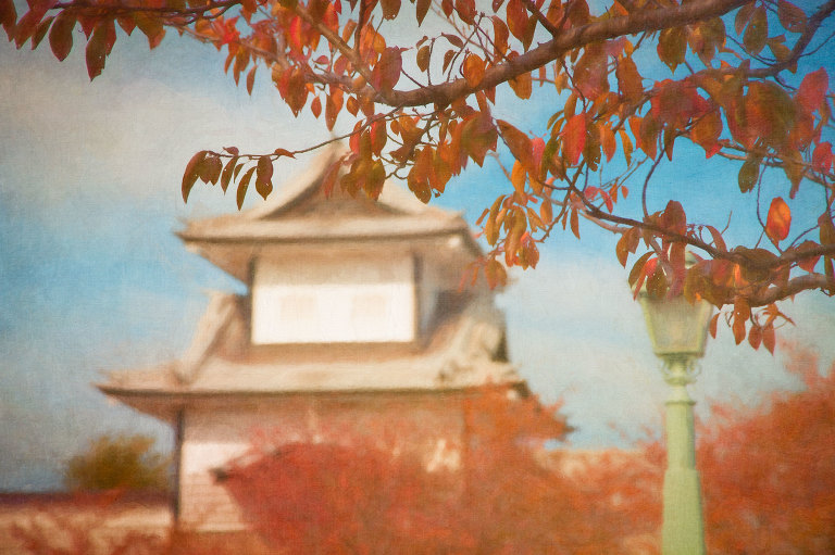 Autumn leaves near Ishikawamon Gate to Kanazawa Castle