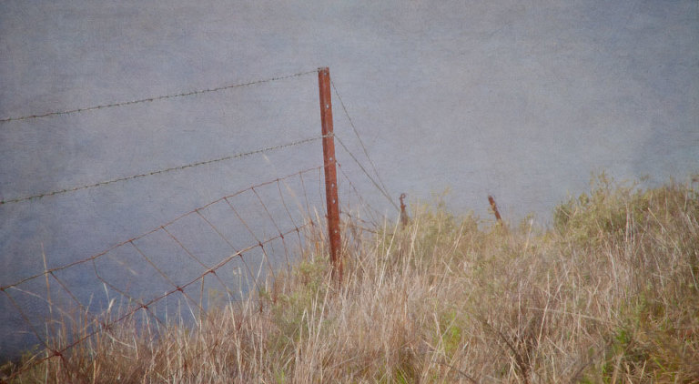 Fence cresting Mingenew Hill