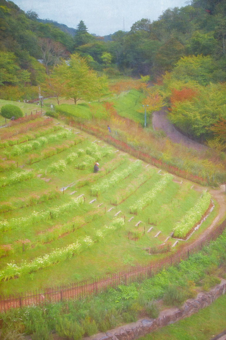 Nunobiki Herb Garden beds