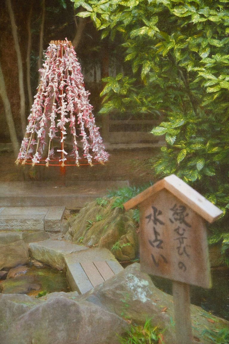 Ikuta Shrine - within the forest, marriage fortunes
