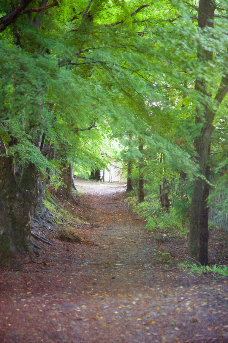 Path through trees near the Itchiku Kubota Kimono Museum